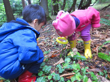 Bug-Hunt