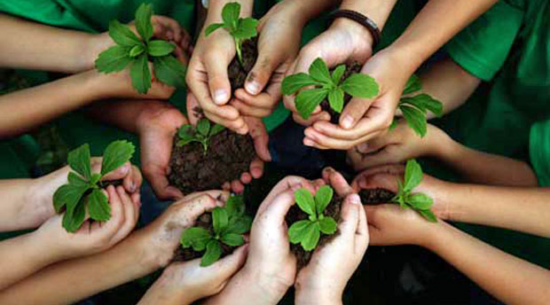 Kids-environment